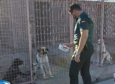 La Guardia Civil identifica a 1.620 perros en la Comunidad