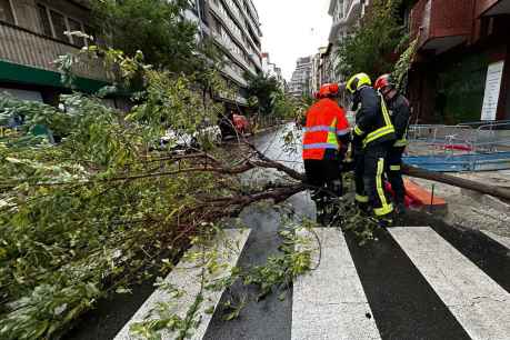 Protección Civil declara la alerta ante previsión de fuertes vientos en la Comunidad