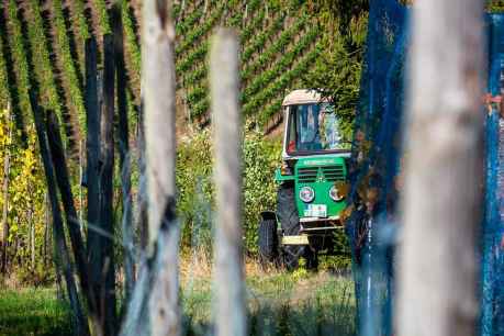 SOS Rural emprende batería de acciones en Unión Europea para combatir la competencia desleal