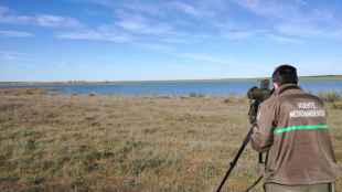 La Junta celebra, con actividades para todos, el Día Mundial de las Aves Migratorias