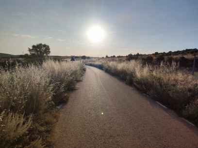 El PSOE denuncia falta de desbroce en carreteras provinciales 