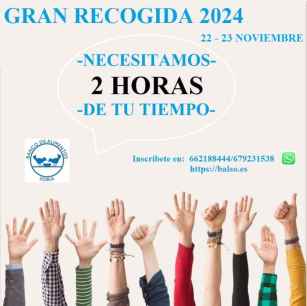 El Balso busca voluntarios para la Gran Recogida 2024