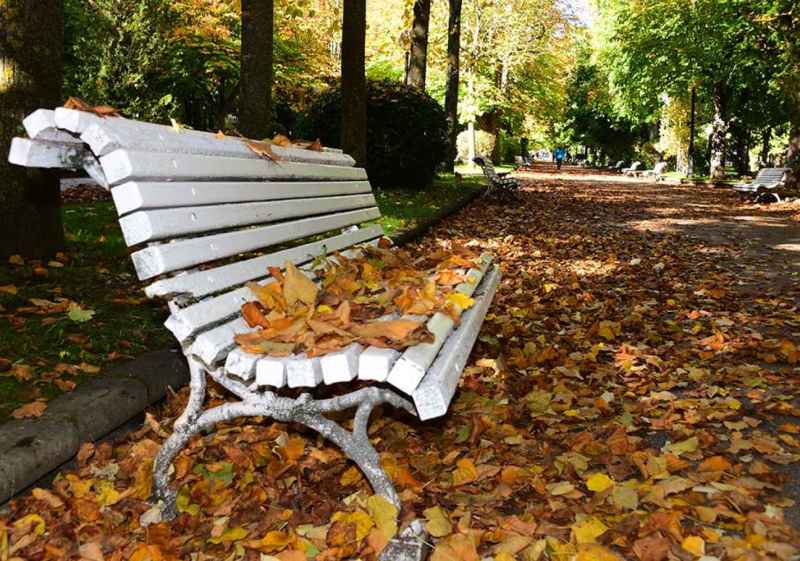 El otoño se adentra, en fotos, en la Dehesa de Soria