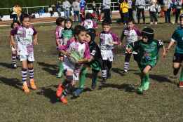 Compromiso y esfuerzo en intensa jornada para Ingenieros de Soria Rugby Club