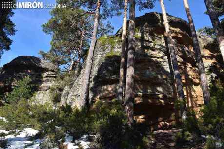 Duruelo de la Sierra aprueba reglamento para Comisión Gestora de Aprovechamientos Forestales