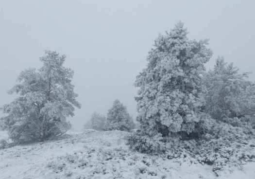 Urbión se tiñe de blanco con primera nevada del otoño