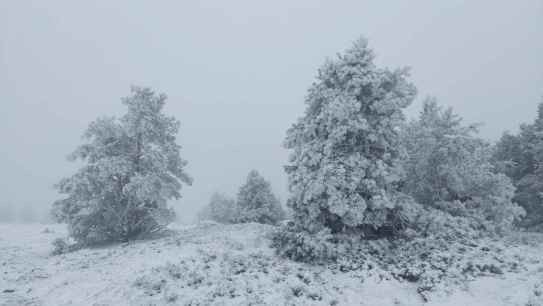 Urbión se tiñe de blanco con primera nevada del otoño