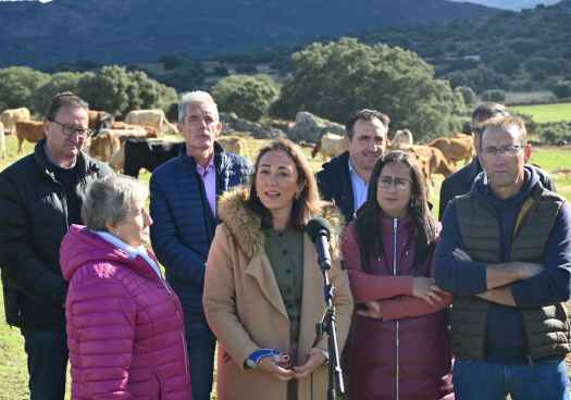 La Junta favorece con 5 millones el relevo generacional en el campo