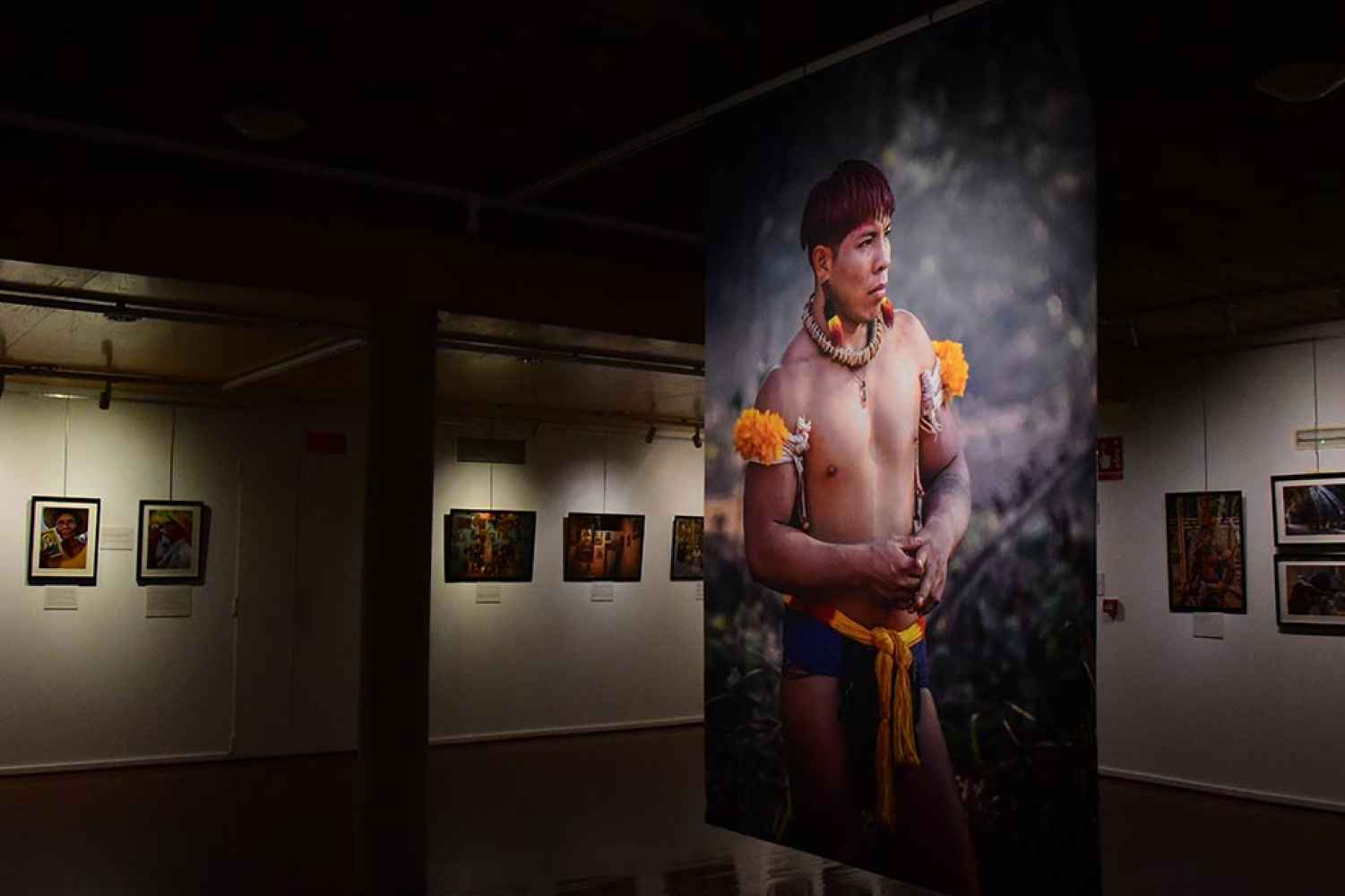 Recorrido por "Brasilidad", exposición de Paulo Enrique Cruz 