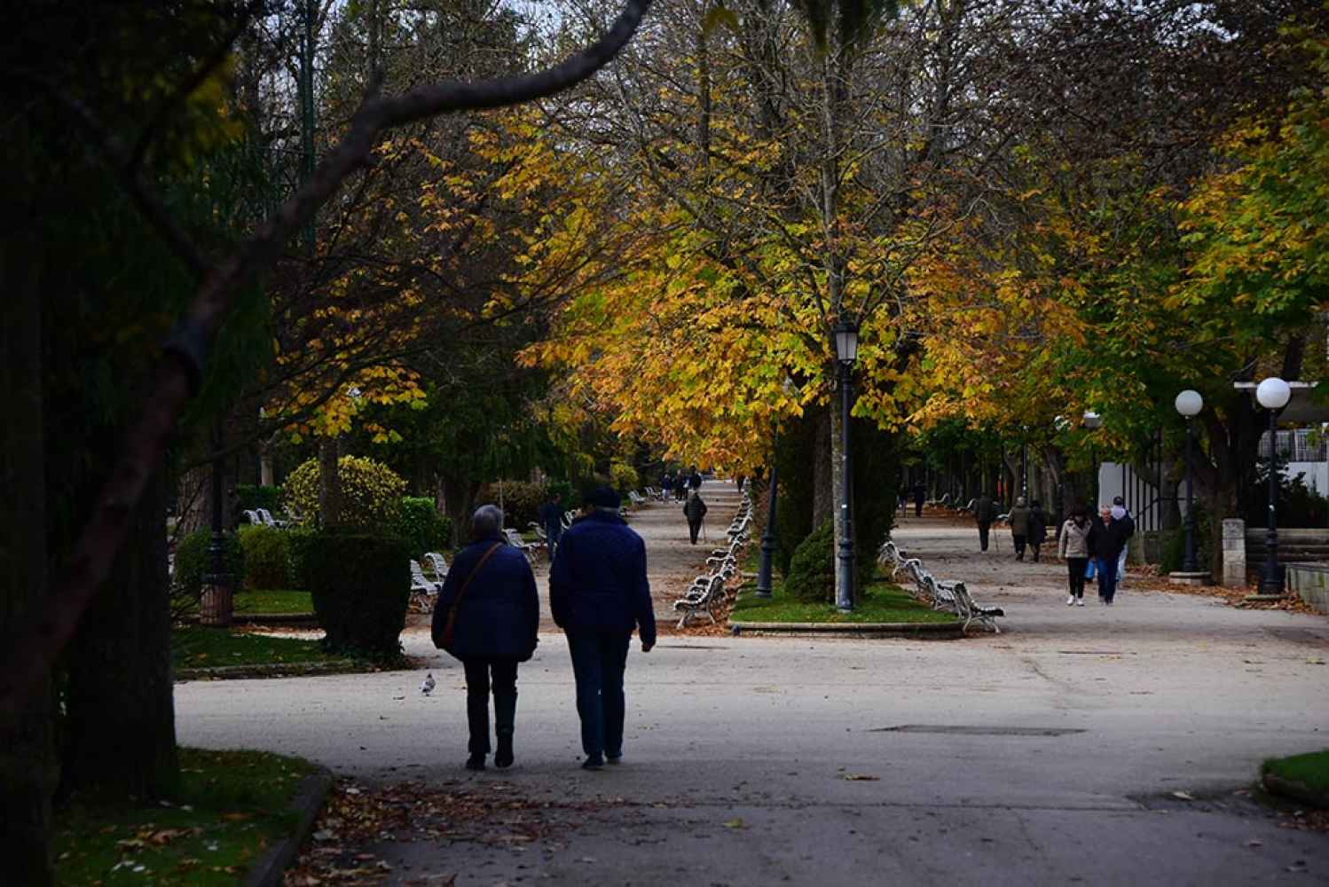 Alameda de Cervantes, el parque por excelencia de Soria