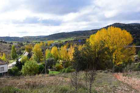 El río Golmayo se tiñe de otoño en su desembocadura en Soria