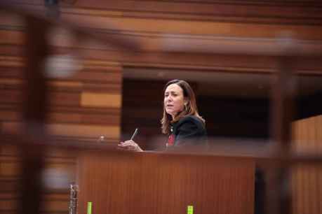 PSOE : “No vamos a ser quien frene los presupuestos de Castilla y León para 2025” PSOE : “No vamos a ser quien frene los presupuestos de Castilla y León para 2025”