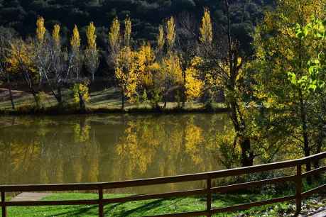 El río Duero se tiñe de otoño en Soria