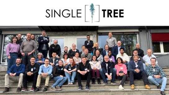 Cesefor impulsa digitalización forestal en Castilla y León con el proyecto SingleTree