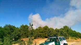 Adjudicados trabajos selvícolas para regenerar montes incendiados en Matamala y Tardelcuende en 2000