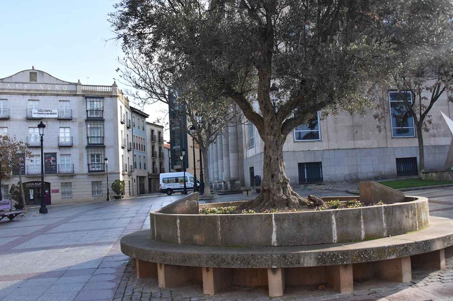 Vox pide al Ayuntamiento que impulse el Museo de la Dieta Mediterránea de Ruiz Liso Vox pide al Ayuntamiento que impulse el Museo de la Dieta Mediterránea de Ruiz Liso