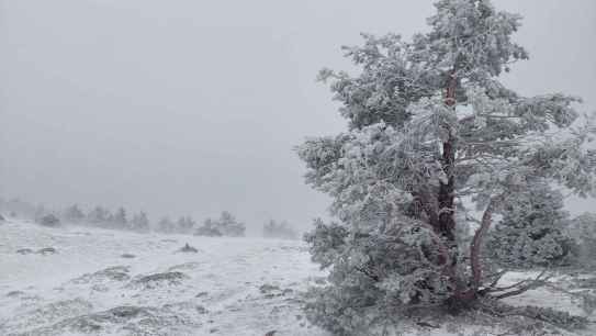 Las nevadas llegan a las cotas altas de Urbión