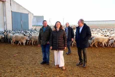 La Junta fomenta el consumo de lechazo de calidad, un producto “emblemático" de Castilla y León La Junta fomenta el consumo de lechazo de calidad, un producto “emblemático" de Castilla y León