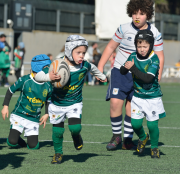  Escuelas y Touch Rugby protagonizan gran día para el Ingenieros en Zaragoza