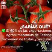 SOS Rural denuncia que importaciones de fruta y verdura asfixia a los agricultores españoles