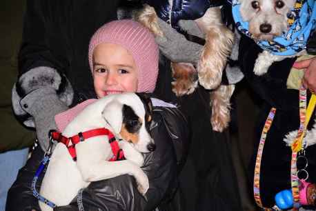 Bendición de las mascotas en Soria por San Antón 