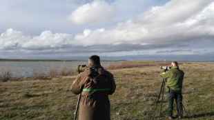 La Junta realiza nuevo censo para conocer estado de aves acuáticas invernantes en la Comunidad