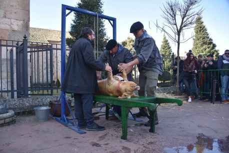 Otro año como es de ley, y van 50, hace matanza el Virrey