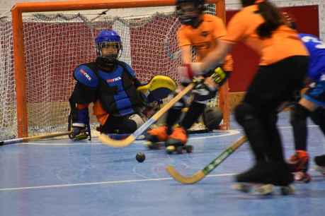 Hockey sobre patines: Laguna Negra y Camaretas benjamines