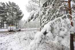 Activación de fase de alerta por nevadas en la Ibérica soriana