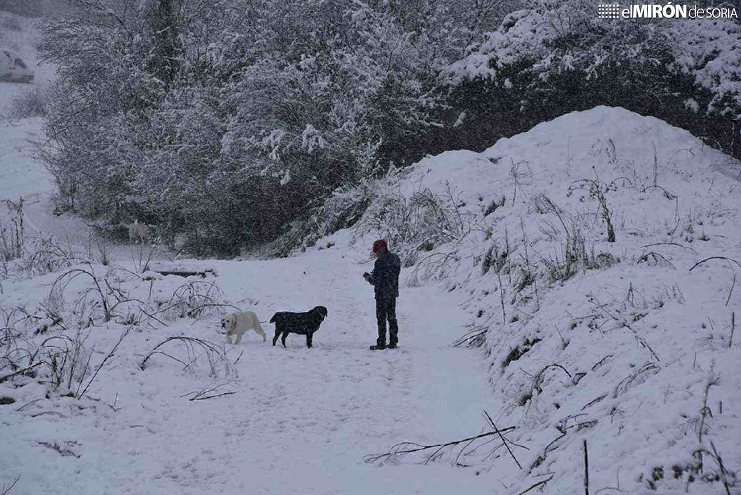 La borrasca Konrad trae más nieve a la provincia de Soria