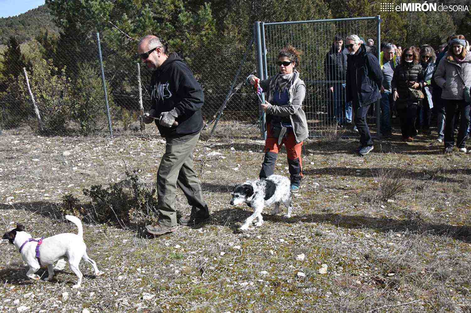 Apoyo regional para crear centro de interpretación de trufa negra en Abejar