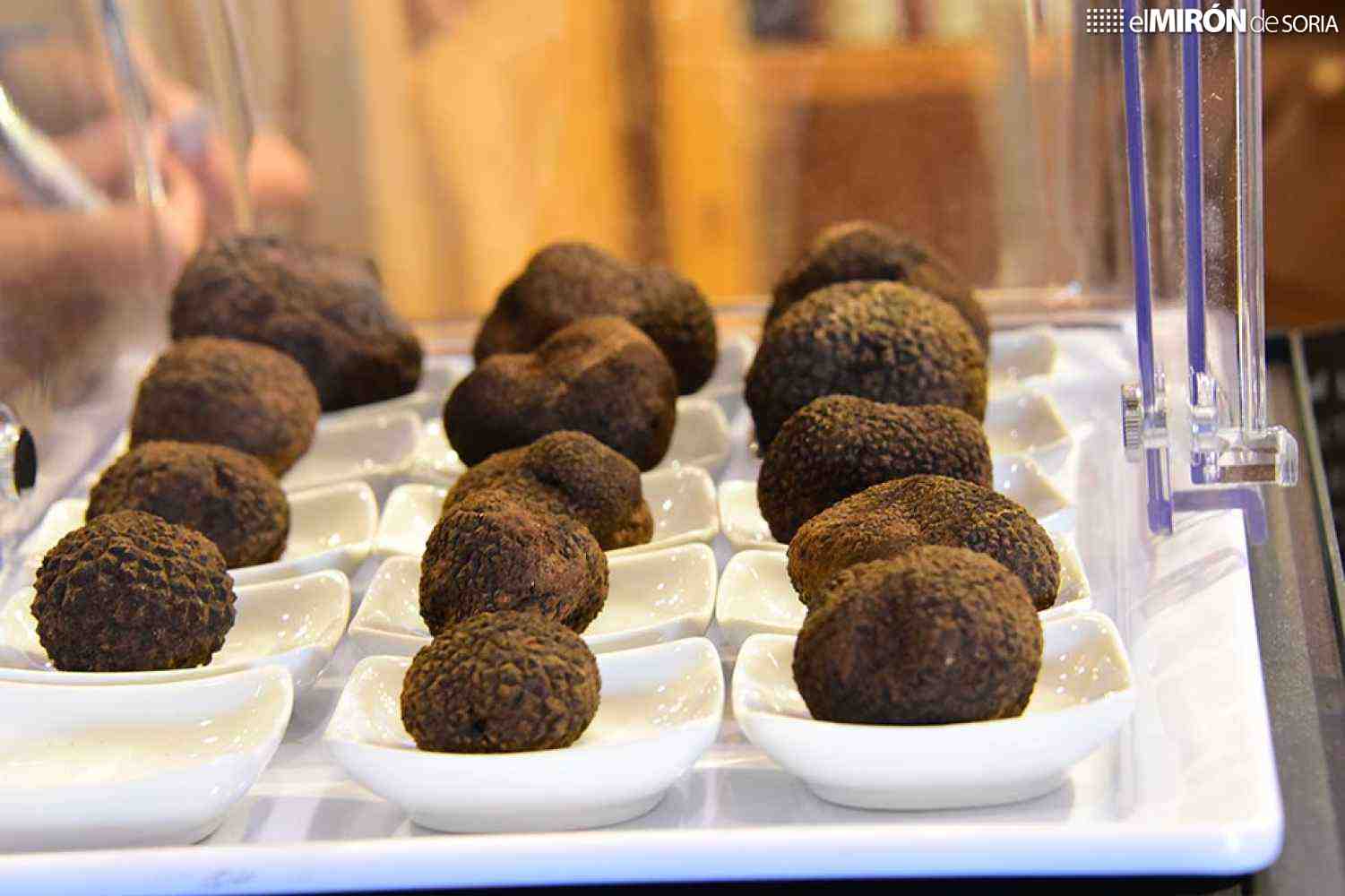 Programa de la XXIII edición de la Feria de la Trufa de Soria en Abejar