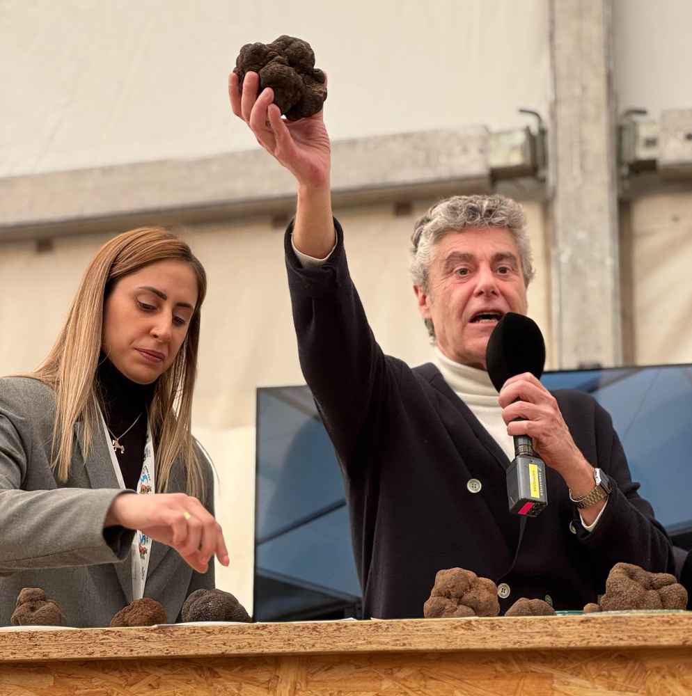 Una trufa de casi medio kilógramo gana el concurso de la feria de Abejar Una trufa de casi medio kilógramo gana el concurso de la feria de Abejar