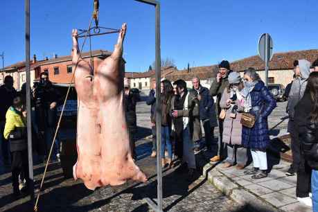 Quintana Redonda festeja la matanza del cerdo