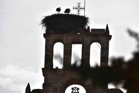 Paseo invernal por algunos rincones de Soria