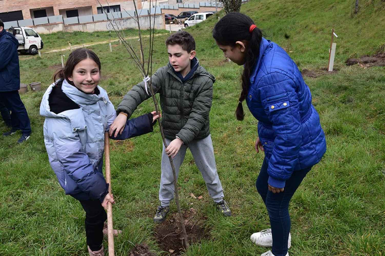 El colegio La Arboleda planta 40 olmos en el parque de El Castillo