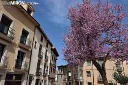 El PSOE se congratula de acuerdo para regular pisos turísticos en El Burgo