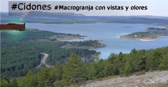 La macrogranja de Cidones, a debate en el Consejo Regional de Medioambiente