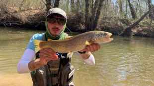 Comienza la temporada de pesca en las aguas trucheras de la Comunidad 