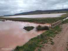 El desbordamiento del río Rituerto, por falta de limpieza, anega fincas agrícolas