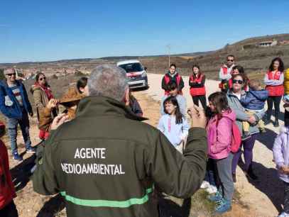 ASFOSO aporta un centenar de sabinas para reforestación en El Burgo de Osma ASFOSO aporta un centenar de sabinas para reforestación en El Burgo de Osma