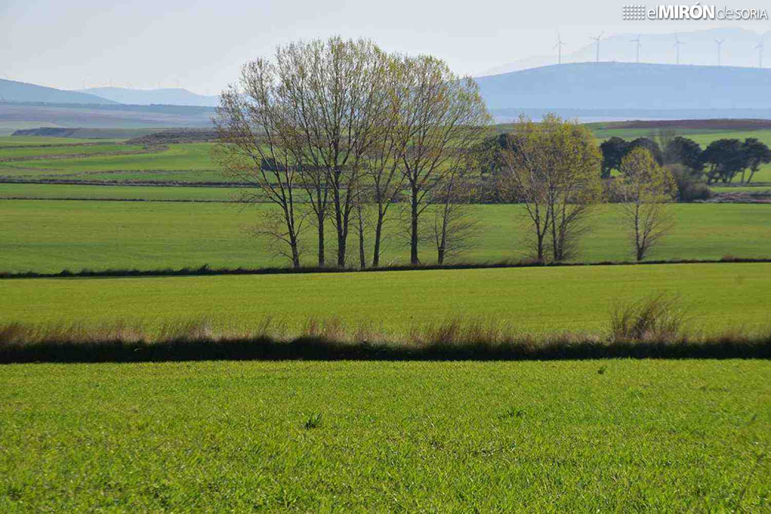 La Junta licita aprovechamiento cinegético de tres montes de Utilidad Pública en Soria