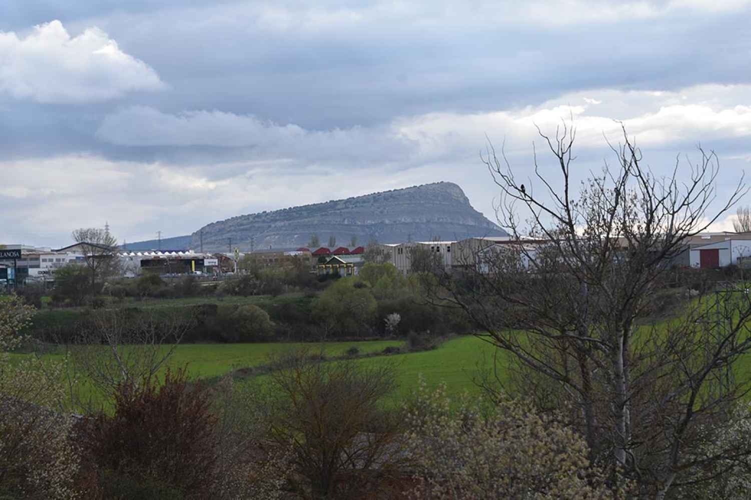 Soria: verde que te quiero verde!