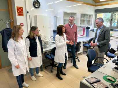 Castilla y León supone el 66 por ciento de superficie de cultivo de patata de siembra Castilla y León supone el 66 por ciento de superficie de cultivo de patata de siembra