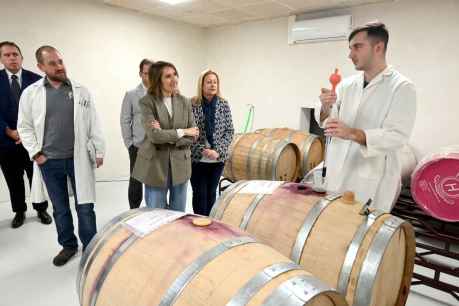 La Junta premia a docentes con planes de lectura más creativos La Junta premia a docentes con planes de lectura más creativos