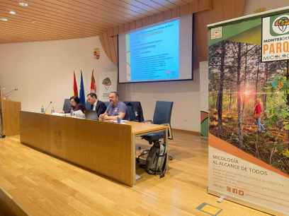 Montes de Soria invirtió en 2024 más de 300.000 euros en montes de la provincia Montes de Soria invirtió en 2024 más de 300.000 euros en montes de la provincia
