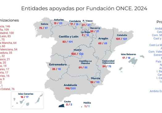 Fundación ONCE apoyó a más de 80 entidades sociales en Castilla y León en 2024