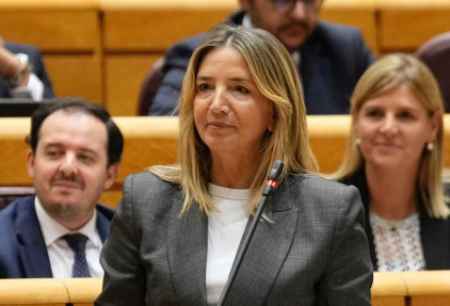 El PP lleva al Senado iniciativa para que el Gobierno presente Presupuestos El PP lleva al Senado iniciativa para que el Gobierno presente Presupuestos