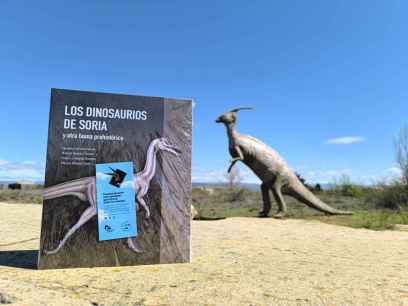 Diputación “libera” libros en pueblos de Soria para celebrar el Día del Libro