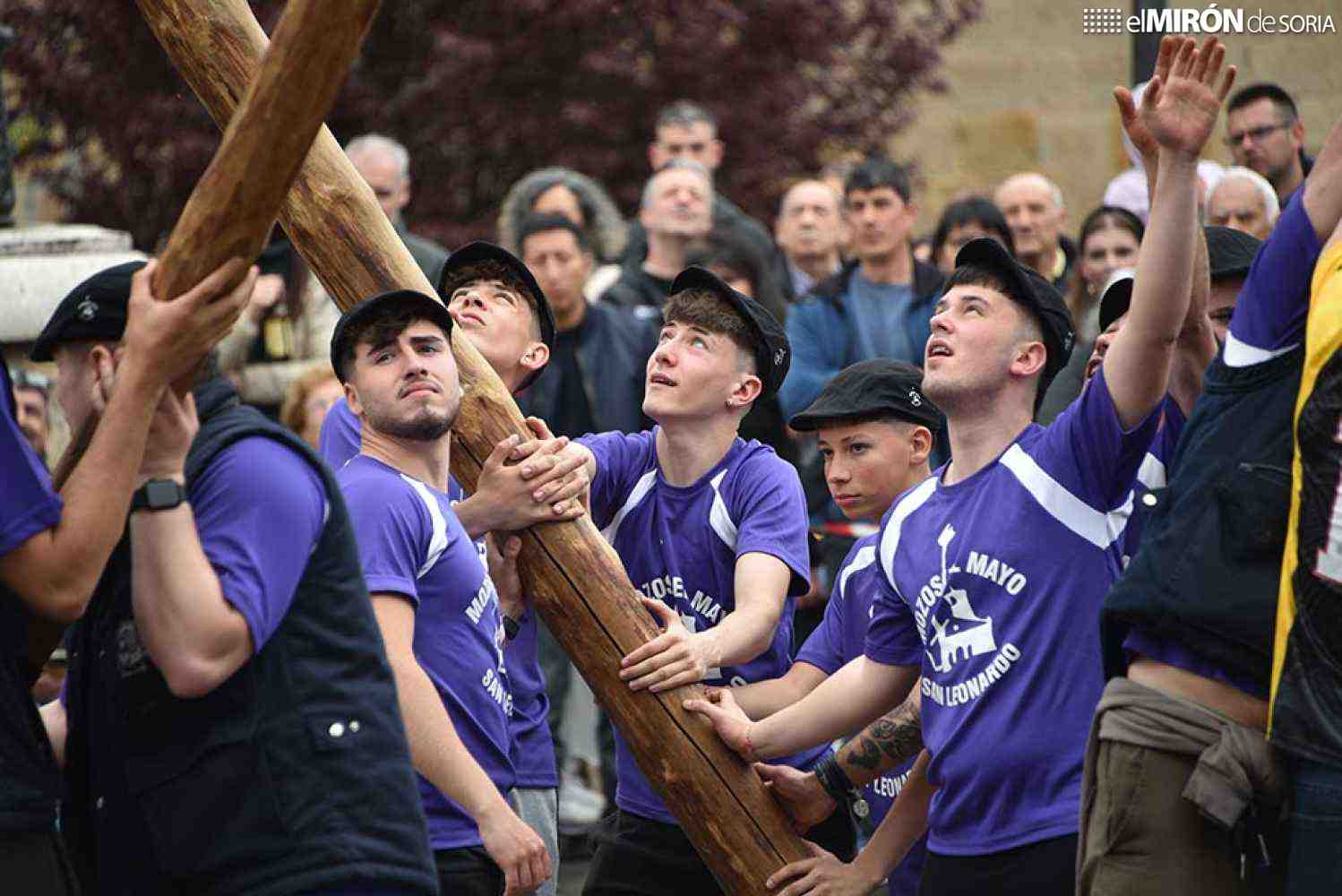 La comarca de Pinares vuelve a pingar el mayo